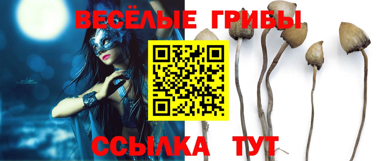 Псилоцибиновые грибы Psilocybine cubensis Шатура